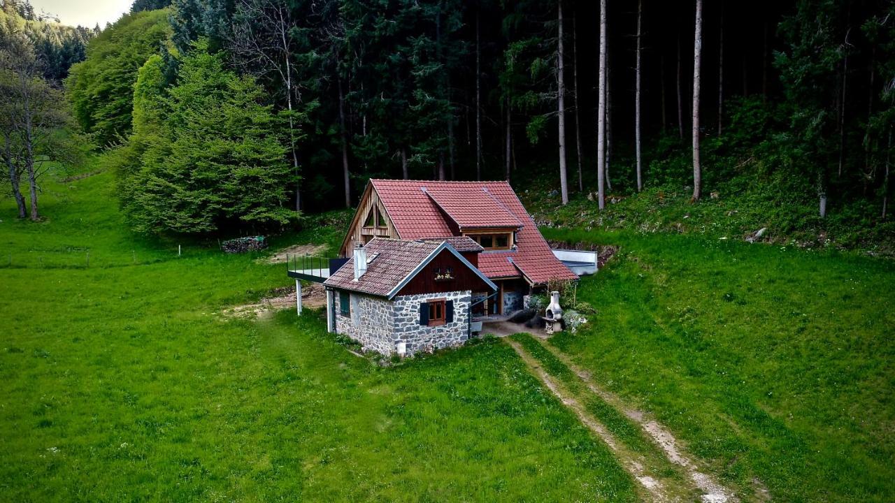 فيلا جيت بودينمات Muhlbach-sur-Munster المظهر الخارجي الصورة